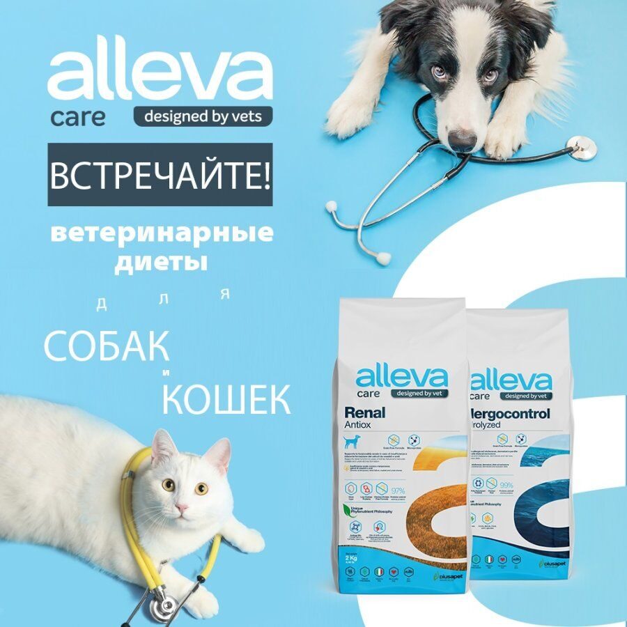 Alleva корм renal