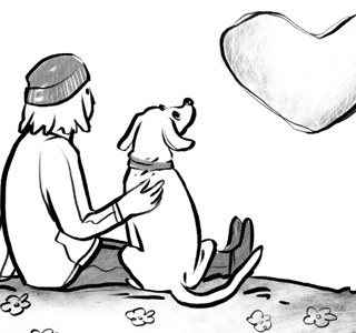 Как собаки проявляют любовь и чем им можно ответить