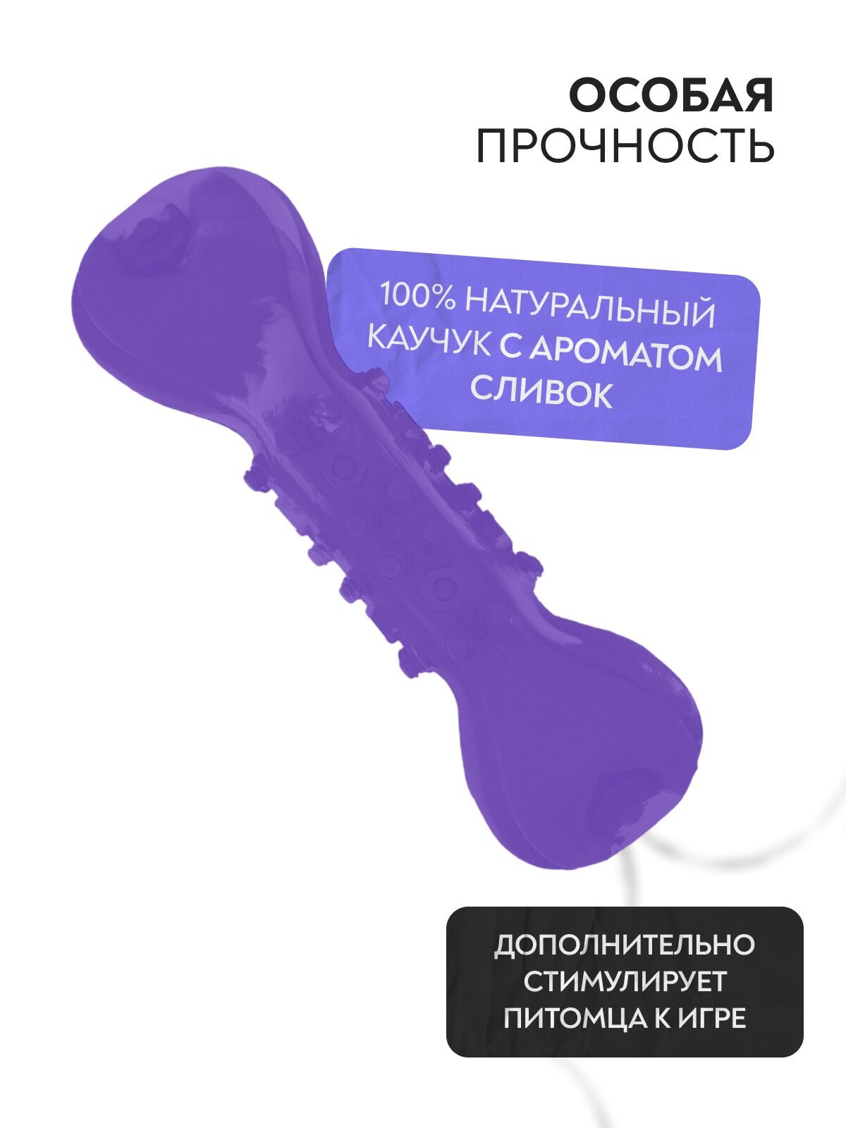 a49c6702-5146-11ed-817d-005056bf23ce_3x4_17
